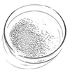 Derivados de Glicoluril